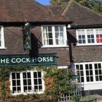 Detling dog-friendly pub, Kent - Kent dog-friendly pubs with dog walks