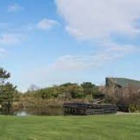 Wirral Country Park, Merseyside - wirral dog walks.jpg