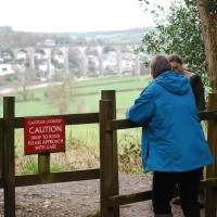 Cotehele Quay to Lower Kelly dog walk, Cornwall - 2018-04-07-5544.jpg