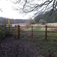 Just off the A50, beautiful pool, meadow, and option for long dog walks, Leicestershire - 3C78A4FD-A746-4007-9F99-0519E8AC3DAD.jpeg