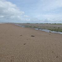 Crosscanonby beach dog walks, Cumbria - Lake District dog-friendly beach