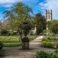Path and plantation University of Oxford botanic gardensshutterstock_620128739.jpg