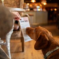 Commercial Pet Photographer, Cumbria - The_Canine_Menu_March_24-23.jpg