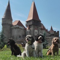 Corvin Castle - Dracula imprisoned here.JPG