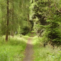 M8 Junction 4 dog walk near Whitburn, Scotland - Dog walks in Scotland