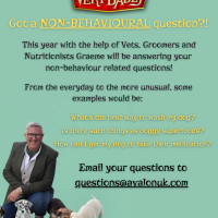Dogs behaving very badly questionnaire