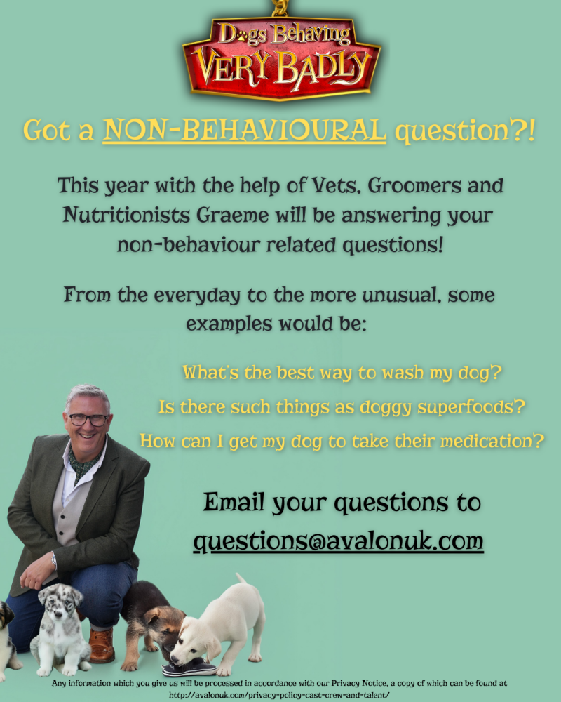 Dogs behaving very badly questionnaire