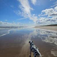Mablethorpe North Beach, Lincolnshire - 1000078809.jpg
