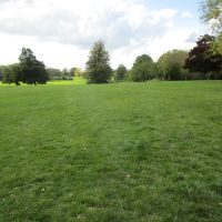 Prospect Park dog walk, Berkshire - Berkshire dog walk