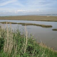Dog walk by the sea and all-day breakfast, Suffolk - IMG_6082.JPG