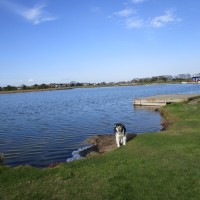 Sheerness country park dog walk, Kent - Kent dog-friendly pubs with dog walks