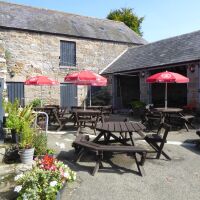 Village pub and shop near Rothbury, Northumberland - Northumberland dog-friendly pub and dog walk