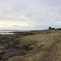 Powfoot Beach - dog-friendly, Scotland - ABCBA745-2788-4C8E-99C9-9D20C3F5A9DF.jpeg