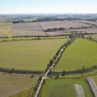 Dog-friendly pub with B&B and a walk on the Ridgeway, Oxfordshire - Dog walk from a dog-friendly pub with B&B.jpg