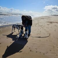 Mablethorpe North Beach, Lincolnshire - 1000078796.jpg