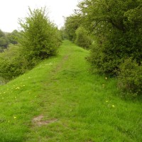 M18 Junction 6 Waterside dog walk, South Yorkshire - Dog walks in Yorkshire
