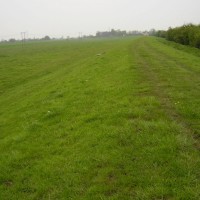 M18 Junction 6 Waterside dog walk, South Yorkshire - Dog walks in Yorkshire