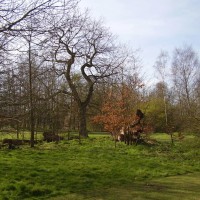 Manor Park dog walk and country park, Kent - Dog walks in Kent