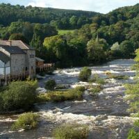 Dog-friendly inn in Llangollen, Denbighshire, Wales - Llangollen dog-friendly dining.jpg