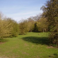 Maidstone dog walking park, Kent - Dog walks in Kent