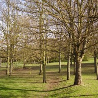 Maidstone dog walking park, Kent - Dog walks in Kent