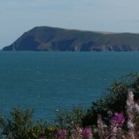 Marine Walk in Fishguard, Wales - P1000869.JPG