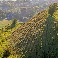 Stunning dog walk and dog-friendly pubs, Dorset - Hambledon Hill dog walk.jpg