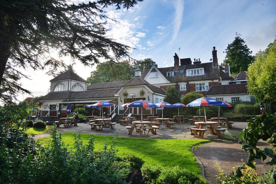 M20 Dog friendly Pub And Dog Walk Near Ashford Kent Driving With Dogs M20 Dog friendly Pub And Dog Walk Near Ashford Kent Driving With Dogs
