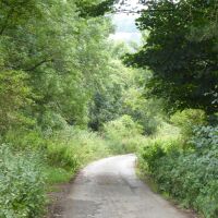 A6 Village pub and dog walk near Penrith, Cumbria - Dog-friendly pub and dog walk near Penrith