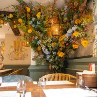 The Lazy Fox dog walks and dog-friendly inn, East Sussex - East Sussex dog-friendly pub