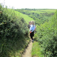 Coast path and dog-friendly pub on the beach, Wales - Dog walks in Wales