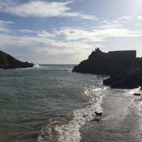 Polperro - dog walk, Cornwall - 20191017_112550.jpg