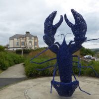 Staithes dog-friendly beach and village, North Yorkshire - Yorkshire dog-friendly beaches and dog walks
