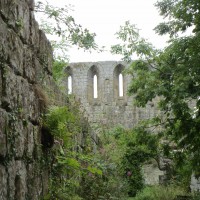 Jervaulx Abbey dog walk, Yorkshire - Dog walk in Yorkshire