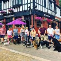 Bushey dog-friendly pub, Hertfordshire - dog-friendly pub Bushey.jpg