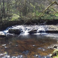 Hardcastle Crags dog walks, West Yorkshire - 20190411_130348.jpg