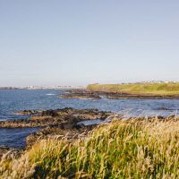 Portrush dog-friendly pub and dog walk, NI - Dog-friendly hotel and dog walk in Northern Ireland