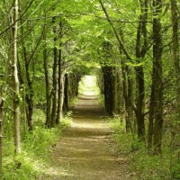 Beautiful country dog walk near Sevenoaks, Kent - IMG_20191219_110953.jpg