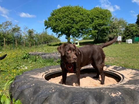 pippa in sand pit.jpg