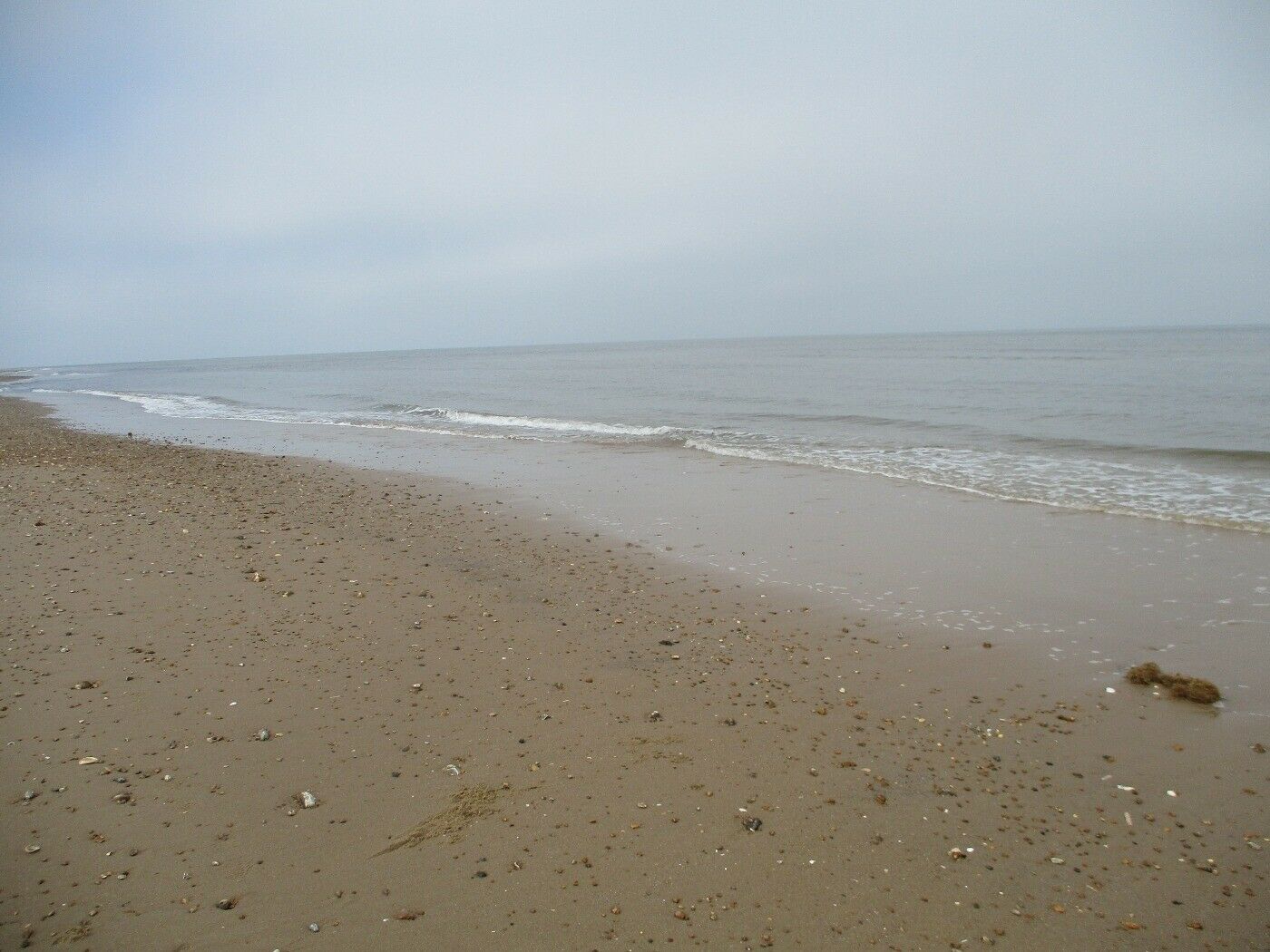 Holme next the sea dog-friendly beach, Norfolk - Driving with Dogs