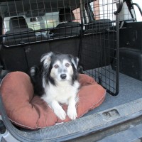 Guardsman dog guard and boot divider.JPG