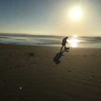 Harlech dog-friendly beach, Wales - A9C5C159-230A-4D9E-8D7E-2FE6AD34EF7E.jpeg