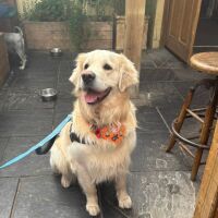 The White Lion dog-friendly pub, Lancashire - whitelion1.jpg