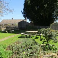 Dog-friendly country inn and dog walk not far from Kings Lynn, Norfolk - Norfolk dog-friendly pub and dog walk