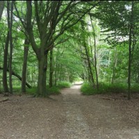 Beautiful country dog walk near Sevenoaks, Kent - IMG_20191219_111228.jpg