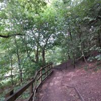 Bury dog walk, Lancashire - 1000011807.jpg