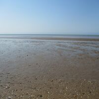 A149 Heacham South Beach, Norfolk - Norfolk dog-friendly beaches.JPG