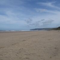 Hunmanby Gap dog-friendly beach, North Yorkshire - Yorkshire dog-friendly beaches and dog walks