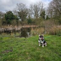 Pingo Trail, just off A1075, Norfolk - 20240324_122216.jpg