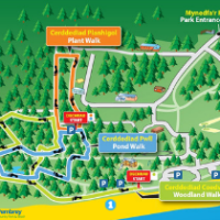 Pembrey dog walk near Llanelli, Wales - Walks map